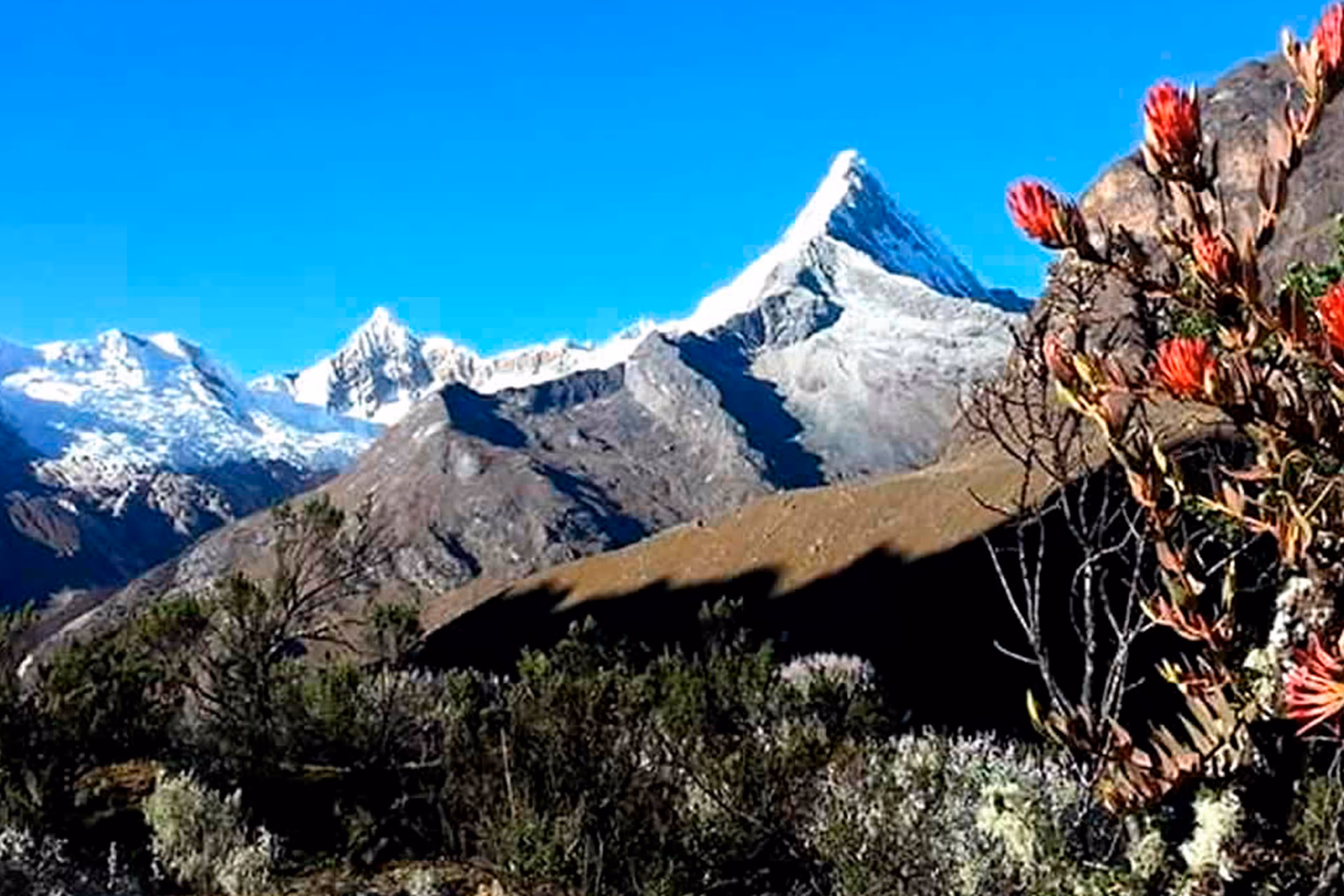 NEVADO ARTESONRAJU 6025M 3