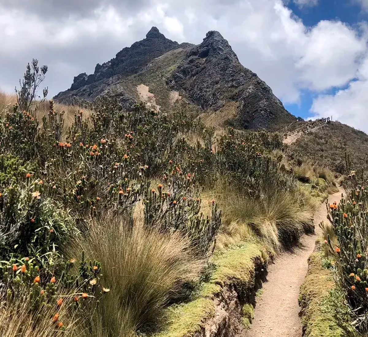Rucu Pichincha