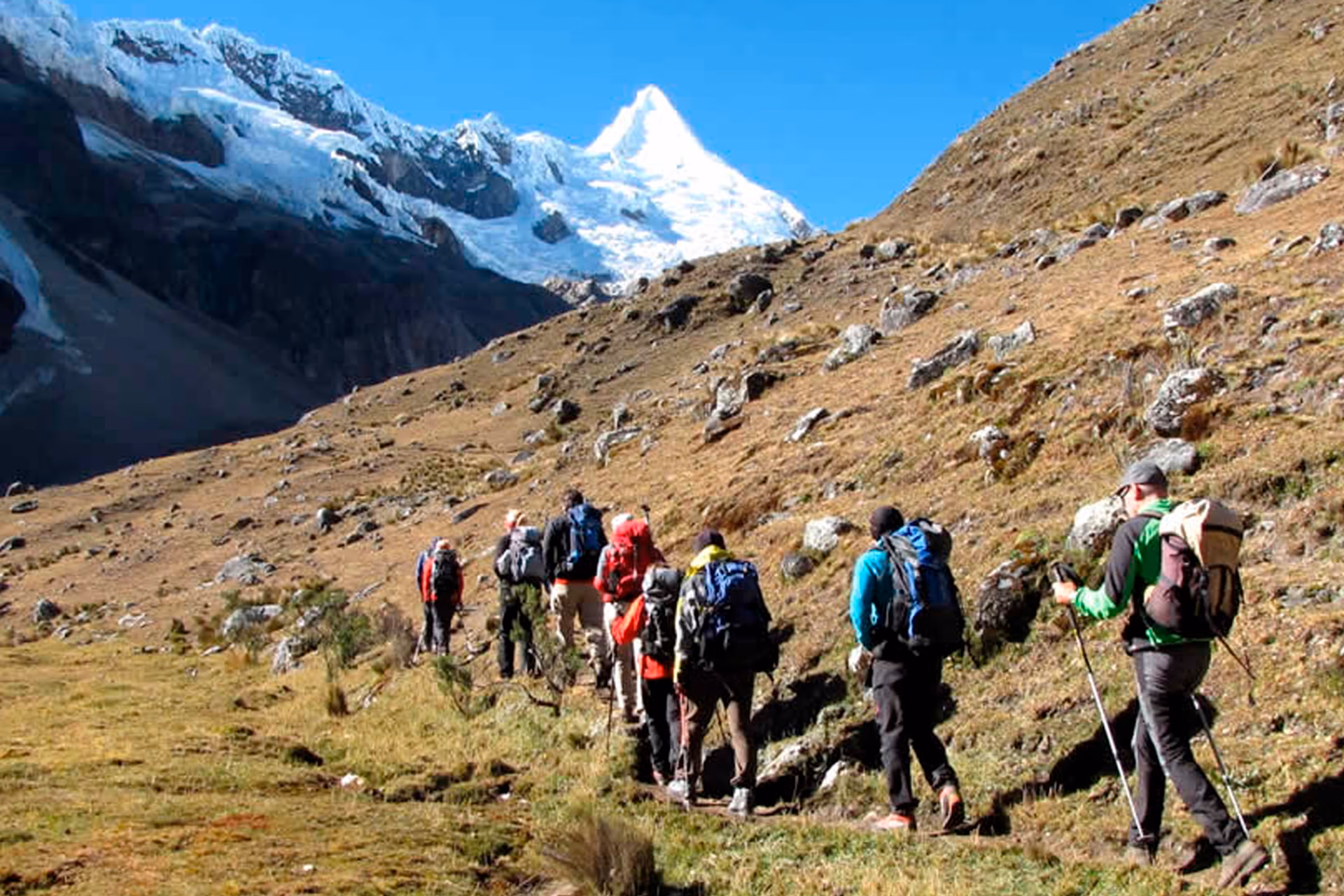 LOS CEDROS ALPAMAYO 6