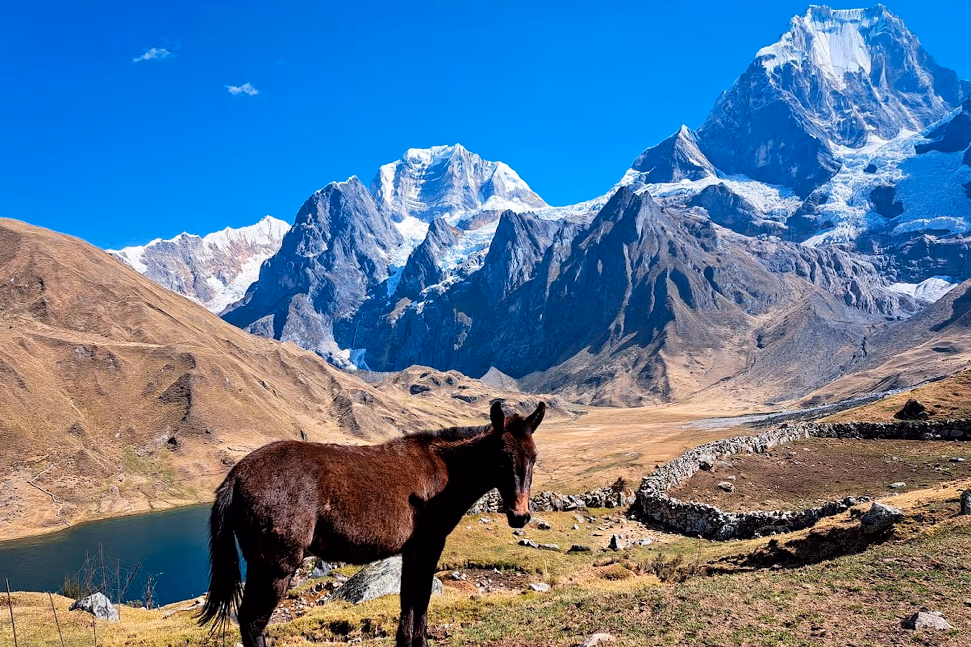 HUAYHUASH MINI 08D 4